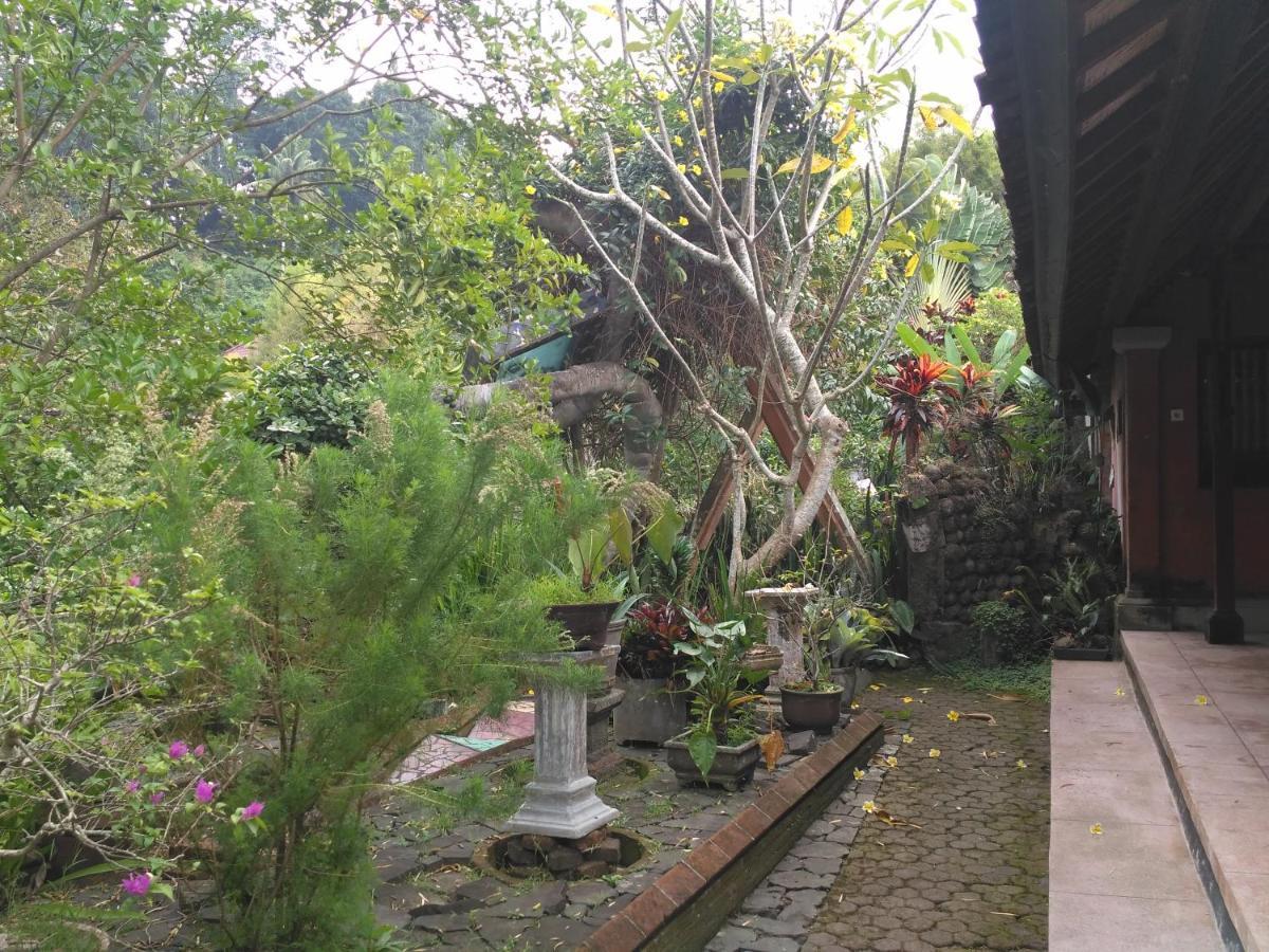 Dhangin Taman Karangasem Eksteriør billede